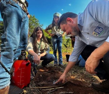 Sementes plantadas no Pantanal começam a mudar paisagem
