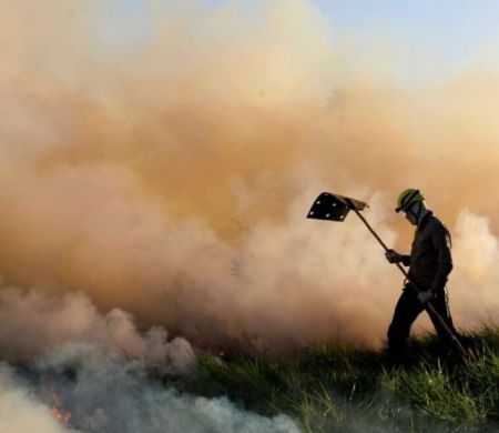 Emergência ambiental contra incêndios é prorrogada pelo governo