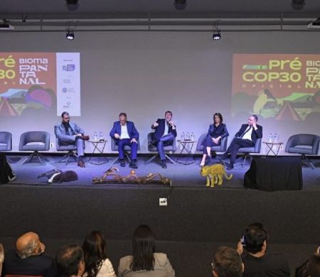 MS e MT se unem para preservar o Pantanal e apontam prioridades na Pré-COP30