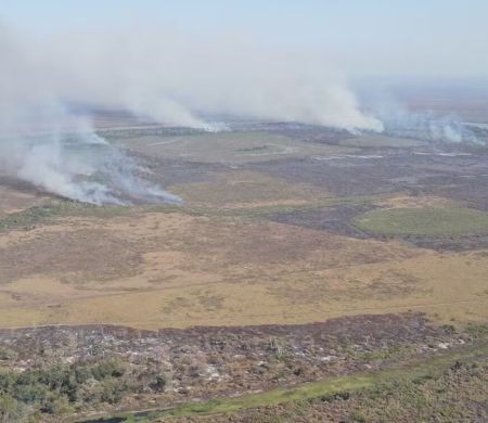 Operação da PF mira servidores públicos num esquema de grilagem no Pantanal