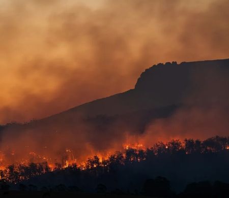 Terras descongeladas podem emitir gases que matarão humanidade