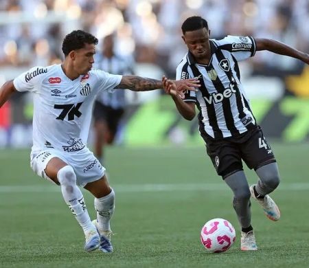 Botafogo faz gol relâmpago, mas cede empate ao Santos em casa