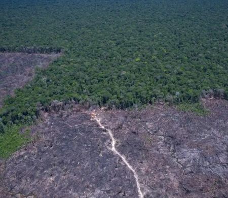 Brasil pode antecipar para 2040 a neutralidade de emissões de CO2