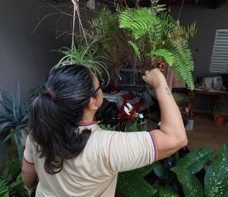 Saúde promove o ‘Dia D’ de Combate à Dengue em MS 