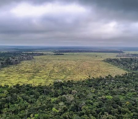 Supremo suspende todos os processos sobre Moratória da Soja