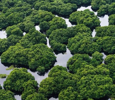 Alemanha confirma que fará investimento 