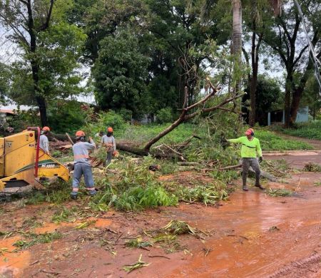 Equipes da Sisep desobstruem vias após chuva forte na Capital&nbsp;