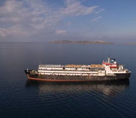 Há 3 meses no mar, navio tenta voltar ao Uruguai com 3 mil vacas e bezerros 