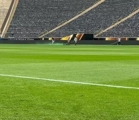 Com gramado em excelentes condições, Palmeiras e Fla vão brigar pela Libertadores