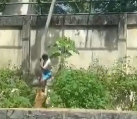 Ao invadir recinto de leoa, jovem acaba morto em zoológico de João Pessoa