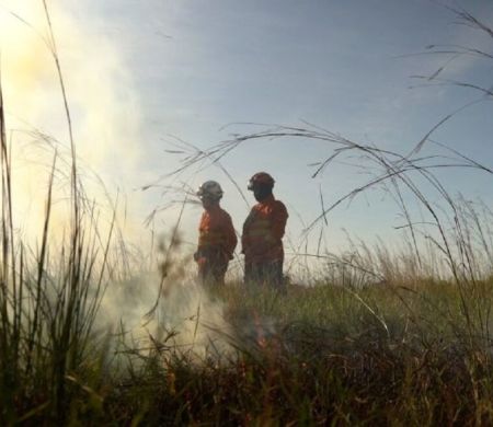 Pantanal de Mato Grosso do Sul tem redução expressiva de focos de incêndios 
