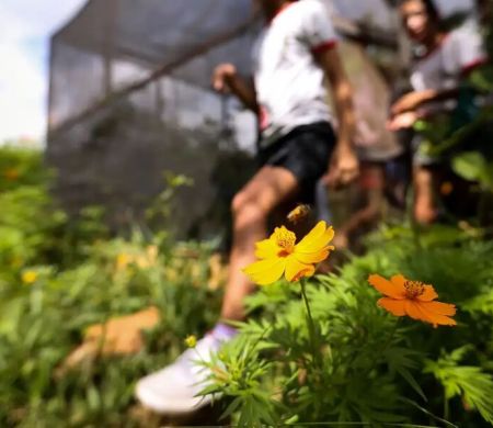 Dia da Educação Ambiental destaca ações de conscientização