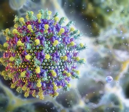 Vírus Nipah não ameaça o Brasil, afirma Ministério da Saúde&nbsp;