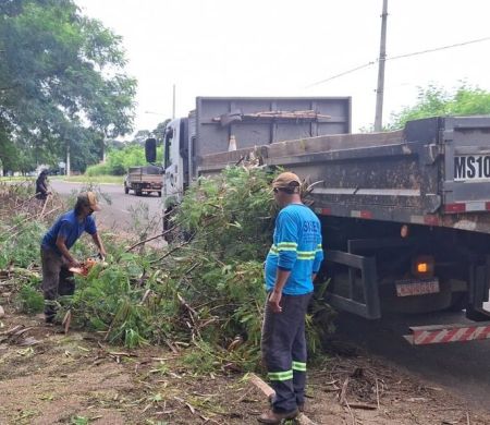 Prefeitura da Capital promove grande limpeza na cidade após chuvas&nbsp;