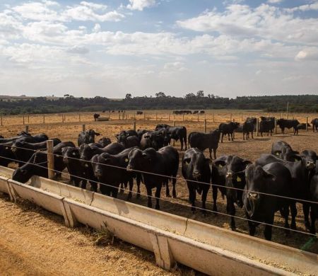 Atividade econômica brasileira cresce 2,5% em 2025