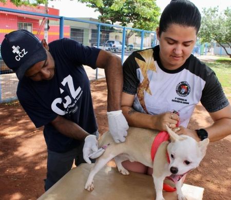 Região do Anhanduizinho recebe equipes do GCZ para vacina antirrábica&nbsp;