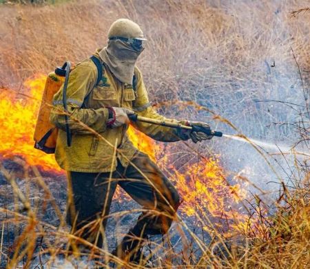 Planejamento para enfrentar incêndios em 2026 é divulgado&nbsp;