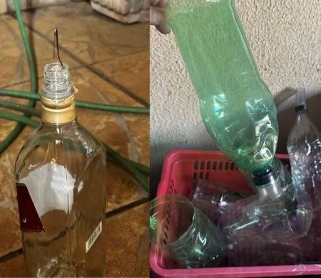 Polícia desmonta fábrica clandestina de bebidas adulteradas e prende casal