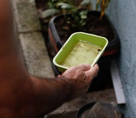 Governo se mobiliza para trazer vacina da chikungunya a MS