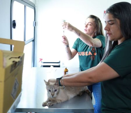 Castração e consultas gratuitas para pets começam nesta segunda na capital