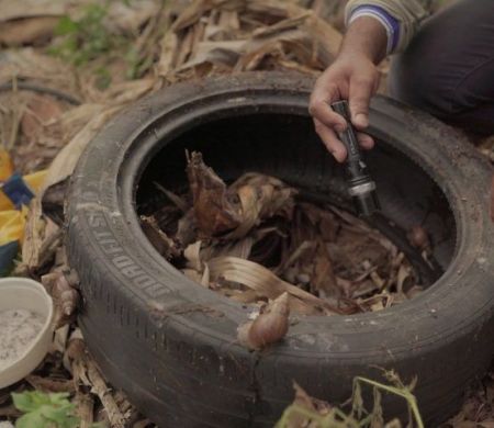 Ações emergenciais miram avanço da chikungunya em Dourados