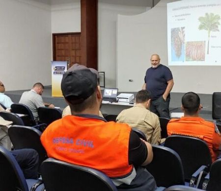 Prefeitura treina equipes para prevenir queda de árvores&nbsp;