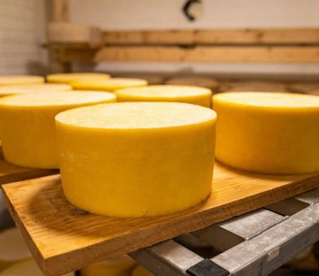 Lei de suplementação alimentar com leite e derivados é sancionada&nbsp;&nbsp;