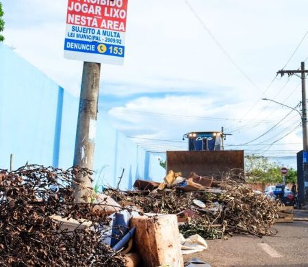 Capital registra 231 queixas de terrenos abandonados em apenas 24 horas