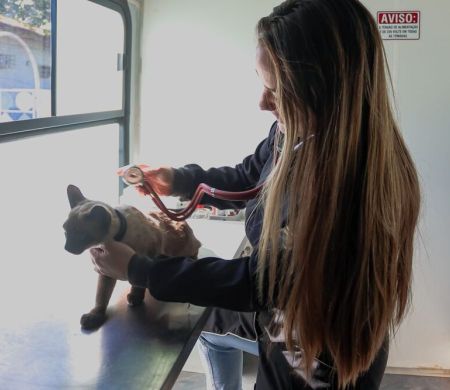 Consultório móvel da Subea atende na Praça do Papa a partir desta segunda&nbsp;