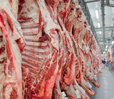 Carne bovina já rende US$ 1,3 bilhão a MS, mas exportações perdem força em julho