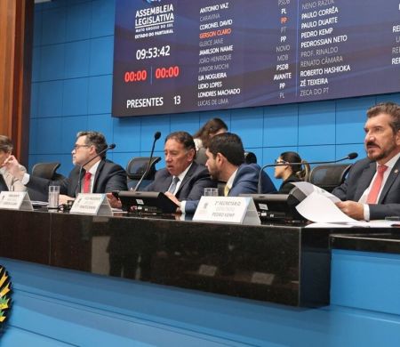 Alems vota, em segunda, criação da Vara Regional de Meio Ambiente em Bonito