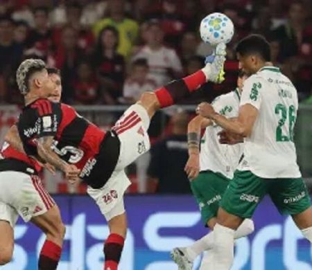 Palmeiras aproveita expulsão, vence Flamengo e dispara no Brasileirão
