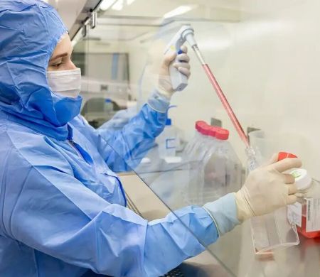 Estudo usa células-tronco contra complicações do transplante de medula