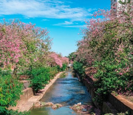Campo Grande se firma como referência em sustentabilidade&nbsp;