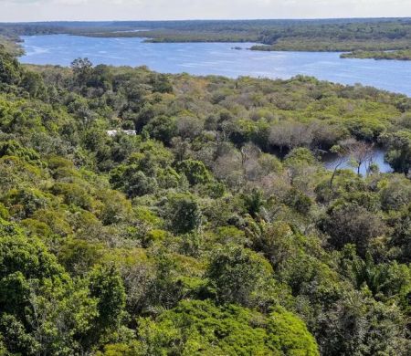 Aprovações do Fundo Amazônia disparam nos últimos anos