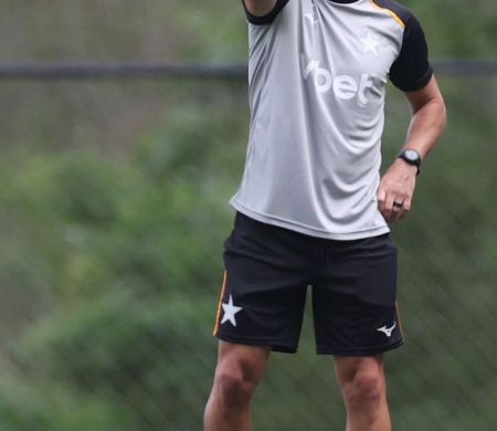 Cruzeiro e Botafogo se enfrentam pelo Campeonato Brasileiro neste domingo
