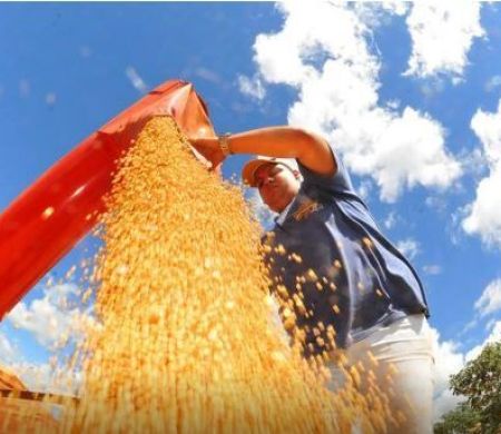 Atividade econômica cai 0,6% em junho, aponta Banco Central