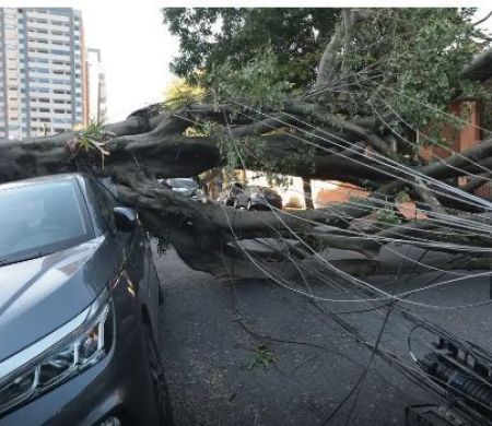 Setor elétrico defende inovação para enfrentar crise climática