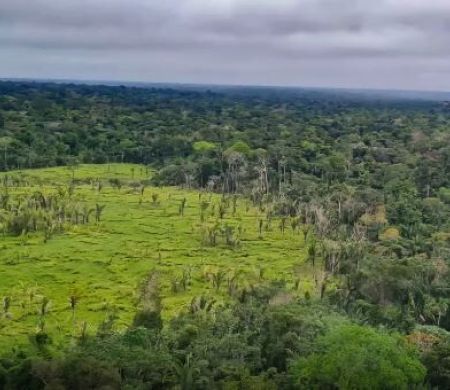 Desmatamento é zero em 60% das terras indígenas da Amazônia, diz Imazon