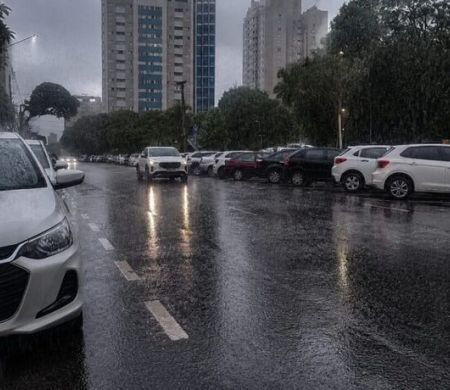 Defesa Civil alerta para risco de vendavais e queda de árvores em Campo Grande