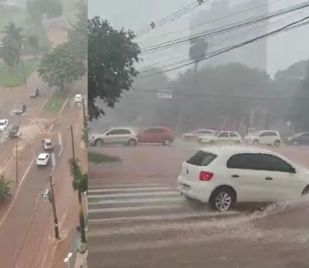 Após temporal deixar rastro de destruição, Defesa Civil orienta como receber alertas