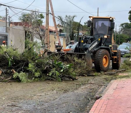 Chuvas deixam 450 ocorrências e mais de 420 quedas de árvores na Capital
