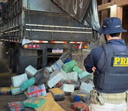 Motorista é preso com 5,2 toneladas de maconha em carga de milho