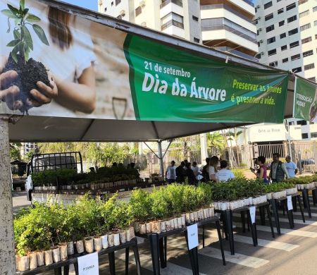 Prefeitura distribui 10 mil mudas frutíferas neste sábado em Campo Grande