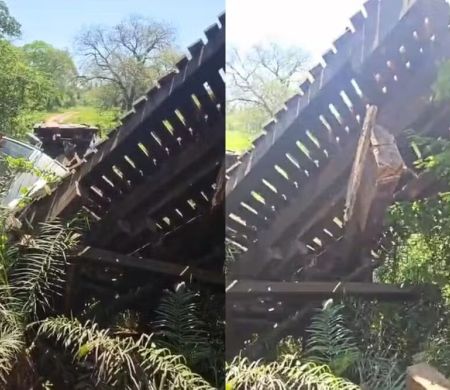 Ponte desaba com caminhão carregado de gado e mata oito animais em Bonito