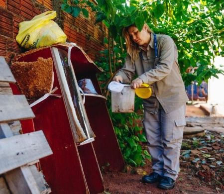 Com 684 imóveis infestados, Campo Grande prepara ofensiva contra a dengue