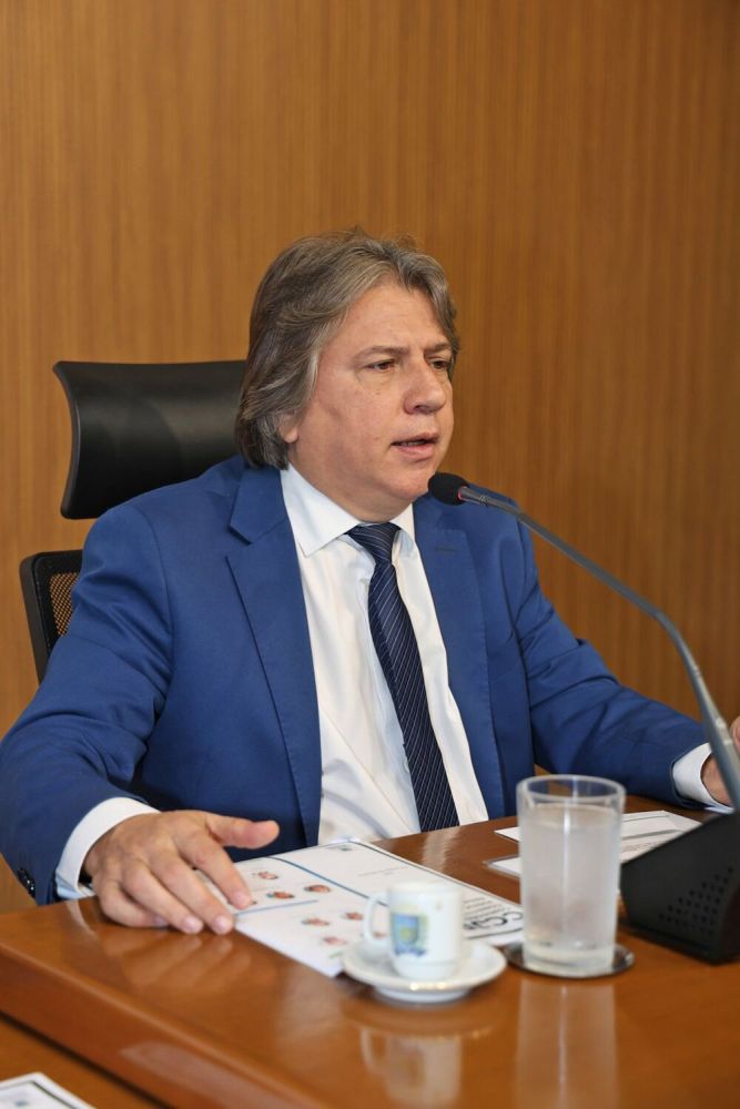 Caravina, presidente da CCJR e relator do Projeto da Lei Orçamentária. (Foto: Alems)