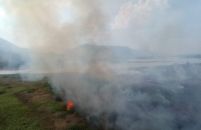 Período com chuvas abaixo da média aumenta risco de incêndios no Pantanal