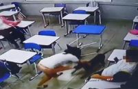 Cachorro ataca adolescente dentro de sala de aula em escola de Mineiros (GO)