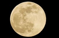 'Lua Cheia Rosa' pode ser contemplada nesta terça-feira (23) no Brasil
